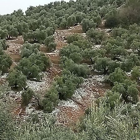 El Almendro De La Tia Teresa Villa Prados de Armijo Bagian luar foto