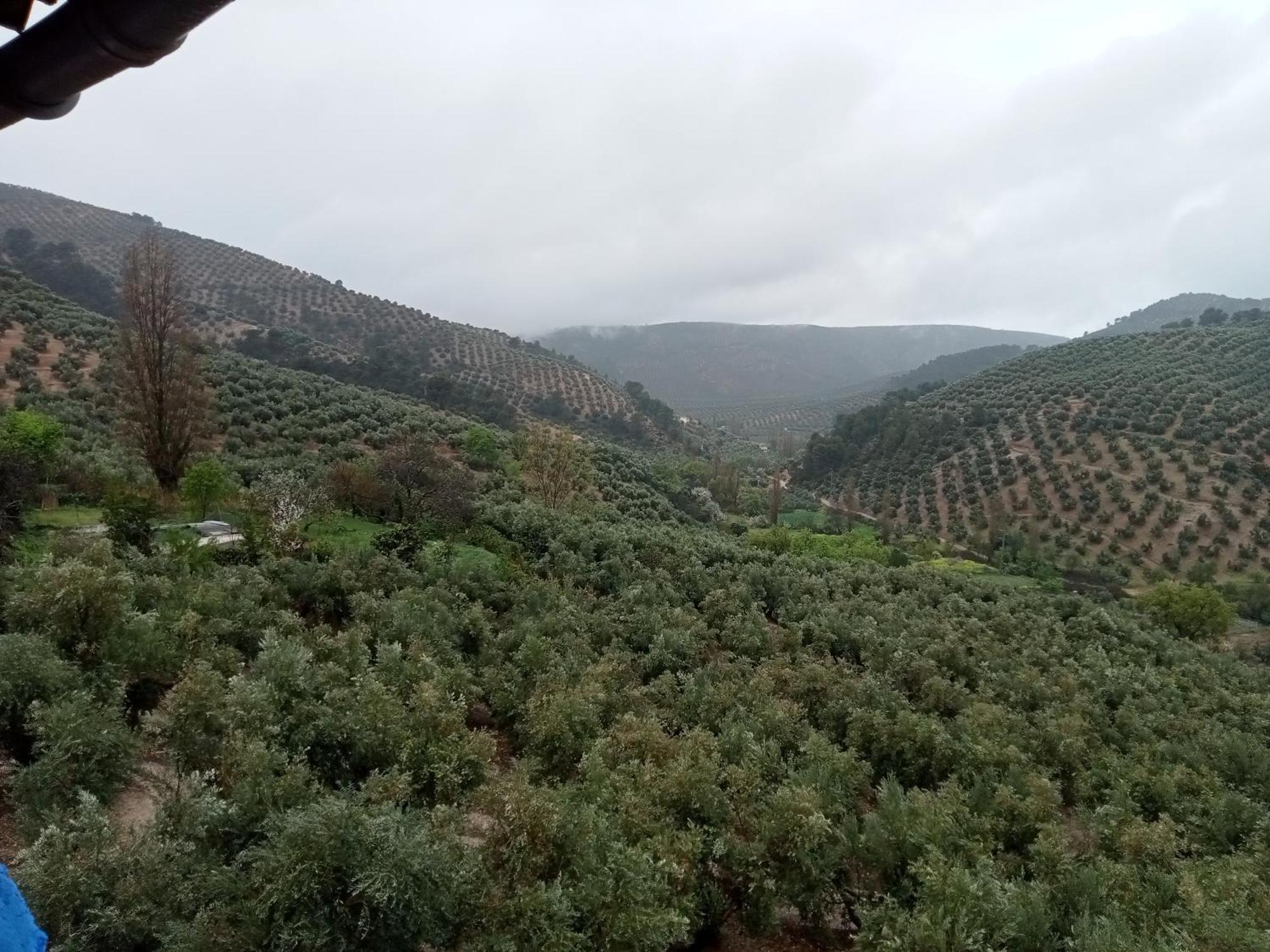 El Almendro De La Tia Teresa Villa Prados de Armijo Ruang foto